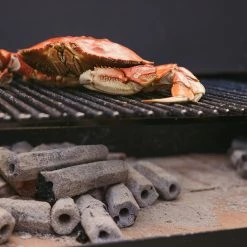 Brand new ❤️ Prime 6 Grilling Fuels Premium sustainable reusable charcoal 9-lb Charcoal Briquettes 💯 -Deals Grills & Outdoor Cooking Store 40791405 scaled