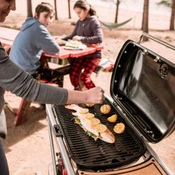 Outlet ❤️ Weber Grills Traveler Portable Gas Grill 🔔 -Deals Grills & Outdoor Cooking Store 42720727 scaled