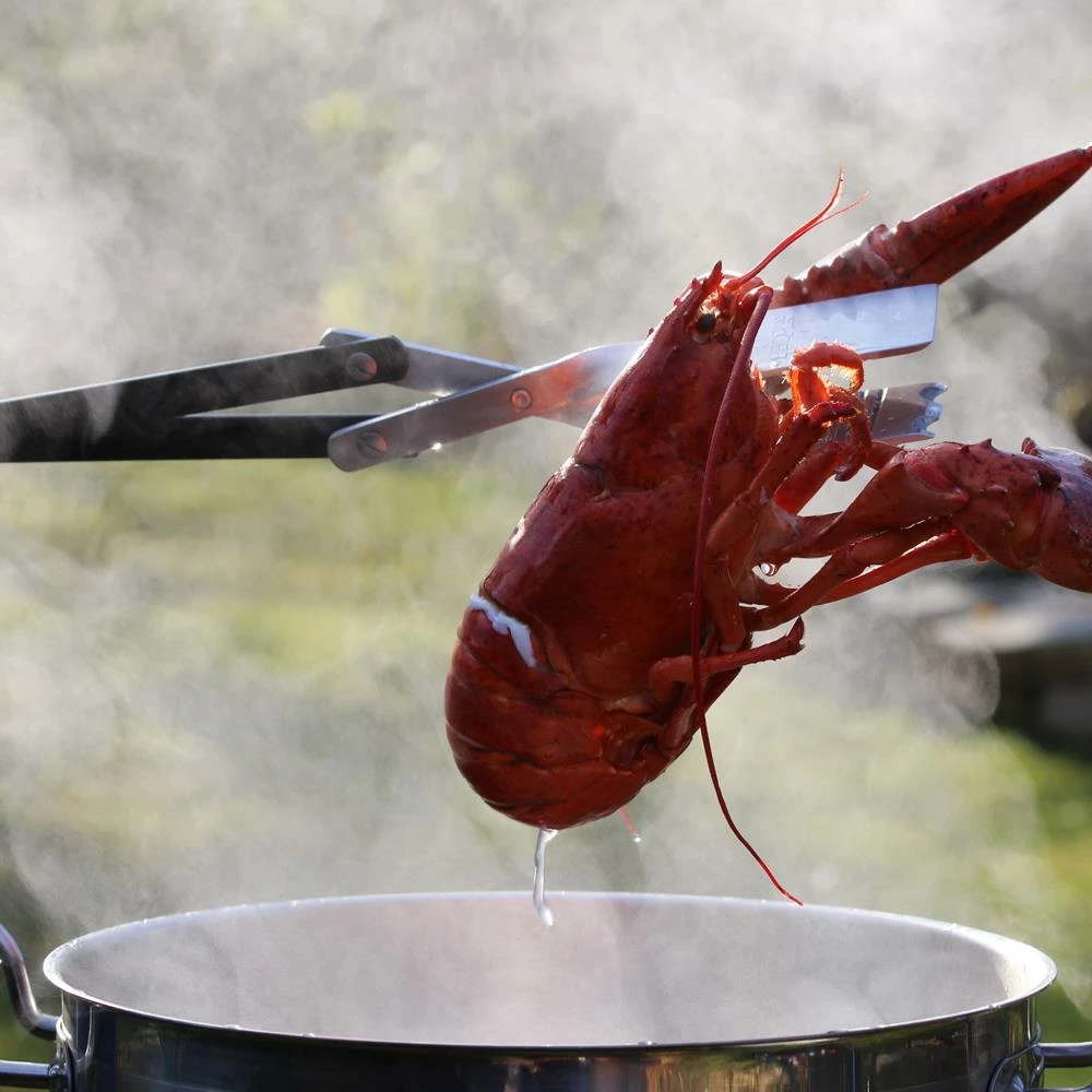 Coupon 🔥 BBQ Croc Grilling Tools & Accessories 3 in 1 barbecue tool, 21 in. Black Aluminum Scissor-style Tongs ❤️ 7 Coupon 🔥 BBQ Croc Grilling Tools & Accessories 3 in 1 barbecue tool, 21 in. Black Aluminum Scissor-style Tongs ❤️ - Image 7