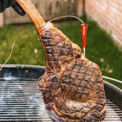 Wholesale ๐ GrillEye Grill Replacement Parts Iris Oval Grill Thermometer ๐งจ 9 Wholesale ๐ GrillEye Grill Replacement Parts Iris Oval Grill Thermometer ๐งจ -Deals Grills & Outdoor Cooking Store 44565665 scaled